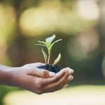 Small Steps, Big Changes: The Power of Tiny Habits for Mindful Living